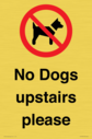 no-dogs-upstairs-please-~